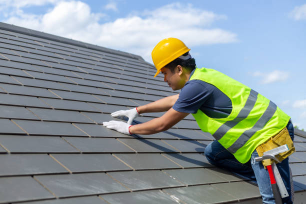 Best Roof Gutter Cleaning  in Phenix City, AL