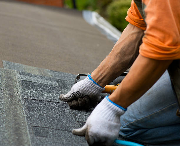 Best Storm Damage Roof Repair  in Phenix City, AL